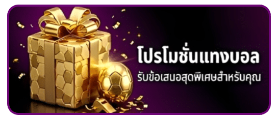 โปรโมชั่นแทงบอล