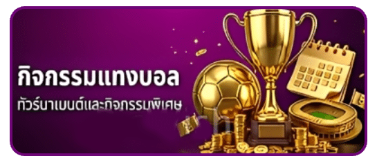 กิจกรรมแทงบอล